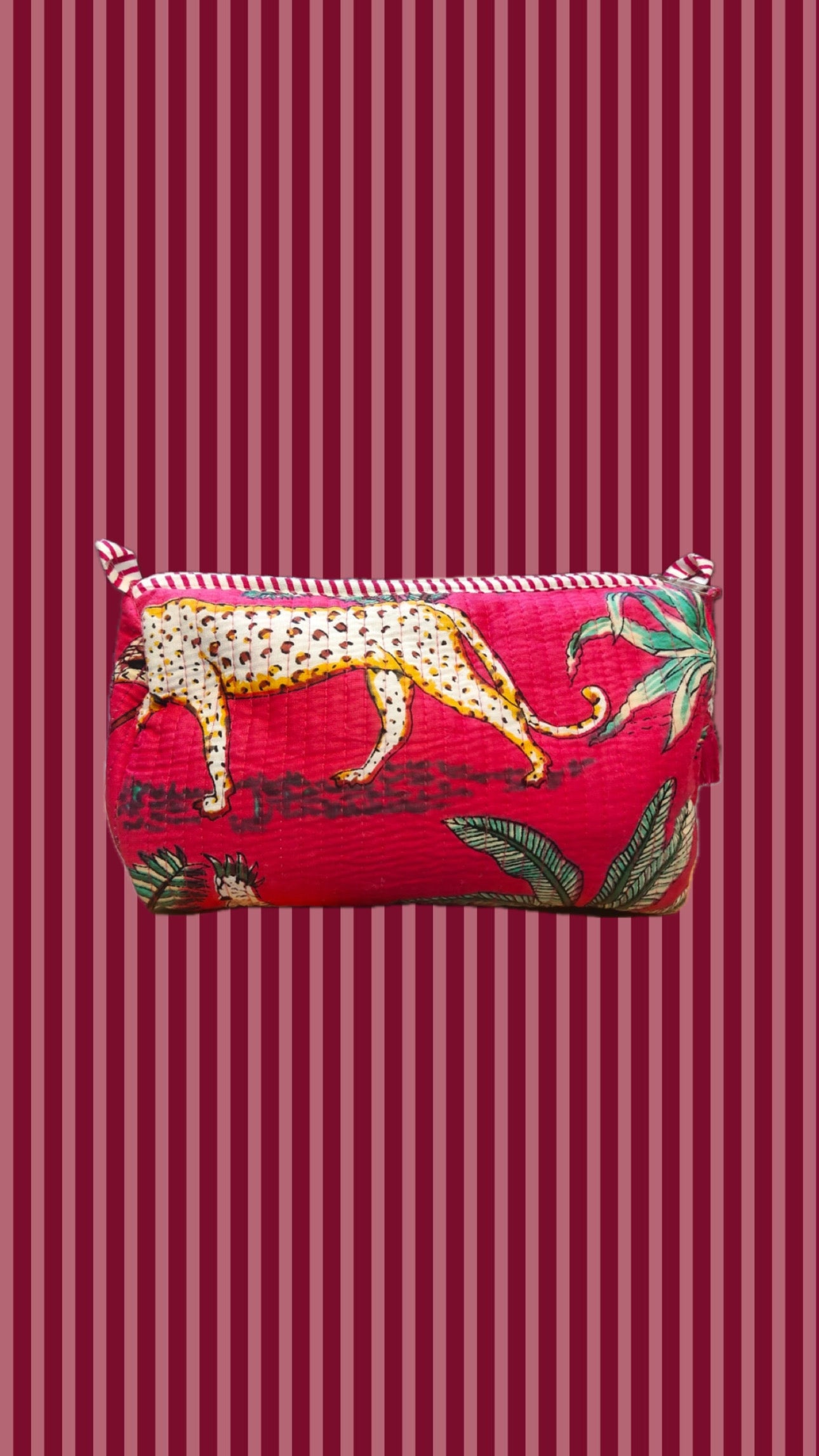 Beauty indiani in cotone