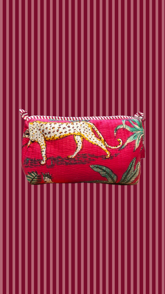 Beauty indiani in cotone